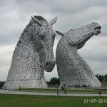 Dale Paterson - @dalepack69 - Instagram