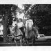 Dale Jerolyne Packer - Facebook