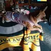 Ricky Dale Holcomb packer - @ricky.dale.holcom - TikTok