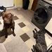 Dale Padmore - Facebook