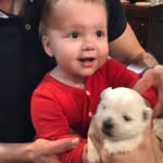 Westies R Us Lubbock TX - @dalepectol - Instagram