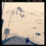 Dale Pellatt - @dalepellatt - Instagram