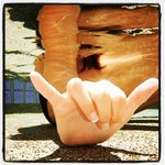 Dale Pellecchia - @dalepellecchia - Instagram