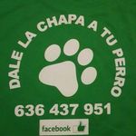 DALE LA CHAPA A TU PERRO - @dalelachapaatuperro - Instagram
