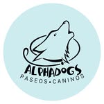¡Dale la Vida que Merece a tu Perro!  🖤 - @paseos.alphadogs - Instagram