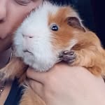 $Dale$ - @dale.pickle7 - Instagram