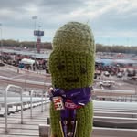 Dill - @dale_pickles_ - Instagram
