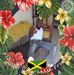 Dale Plummer - Facebook