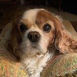 Dale Powell - @dalepowellphotography - Instagram