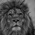 Dale Powell - Facebook