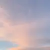 Dale powers - @dale_powers - TikTok