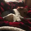 DalePower - @daleisbest - TikTok