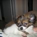 Dale Quick - Facebook