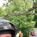 Dale Quick - Facebook