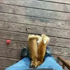 Dale_ray04 - @dale_ray04 - TikTok