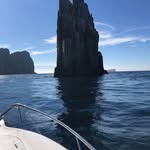 Dale Rayner - @rayner231 - Instagram
