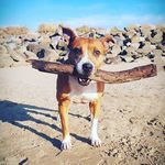 Dale Read - @dalerl96 - Instagram