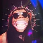 Dale Read - @daleread66 - Instagram