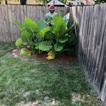 Dale Renfro - @dalerenfro02 - Instagram