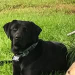 River Dale Rhoads - @river_dale_rds - Instagram
