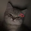dalerries - @daleriess - TikTok