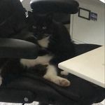 dale - @daleritchie_ - Instagram