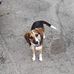 Dale Ritchie - Facebook