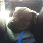 @dale_roe - Instagram