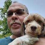 Dale Roe - @thegreatroe - Instagram
