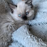 Dale Ryan - @dale.ryan.946 - Instagram