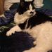 Dale Ray Schaeffer - Facebook
