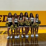 WMS Cheer - @waynedalemscheer - Instagram