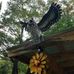 DaleJolynn Schuster - Facebook