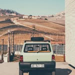 Dale Schütte - @dale_sch_tgte - Instagram