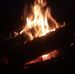 Dale Schutte - Facebook