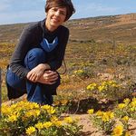 Dalene Schutte - @schutte_dalene - Instagram