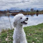 Dale Seefeldt - Facebook