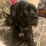 Dale Shoemaker III - @swagmaster2278 - Instagram
