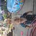 Dale Showalter - Facebook