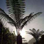 Dale Stevens - @stevens_dale - Instagram