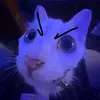 daleister - @daleister - TikTok