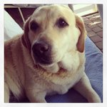 Dale Stiffler - @maxicrayonxoxox - Instagram