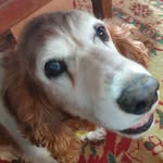 Dale Stirling - @stirling9670 - Instagram