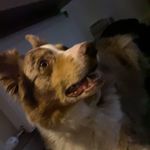 @jack_stock_dale - Instagram
