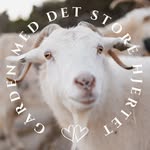 Gården med det store hjertet❤️ - @dalestories - Instagram