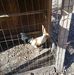 Dale Strange - Facebook