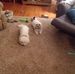 Dale Straub - Facebook