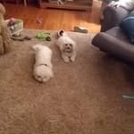 Dale Straub - @dale.straub1936 - Instagram