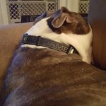 Dale Stringfellow - @dale.stringfellow.9 - Instagram
