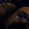 dalestroud - @dalestroud - TikTok